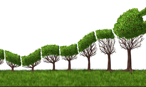 能源勢動：電力行業(yè)的碳中和該如何實現(xiàn)？